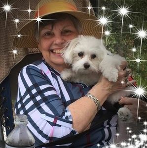 Meet your Posher, Katy